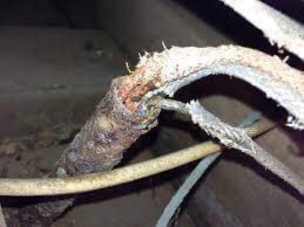 Damaged, deteriorated cable found during electrical fault finding